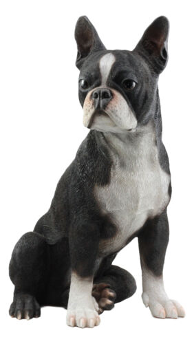 Lifelike Adorable Boston Terrier Dog Statue 16"H Pedigree Dog With Glass Eyes
