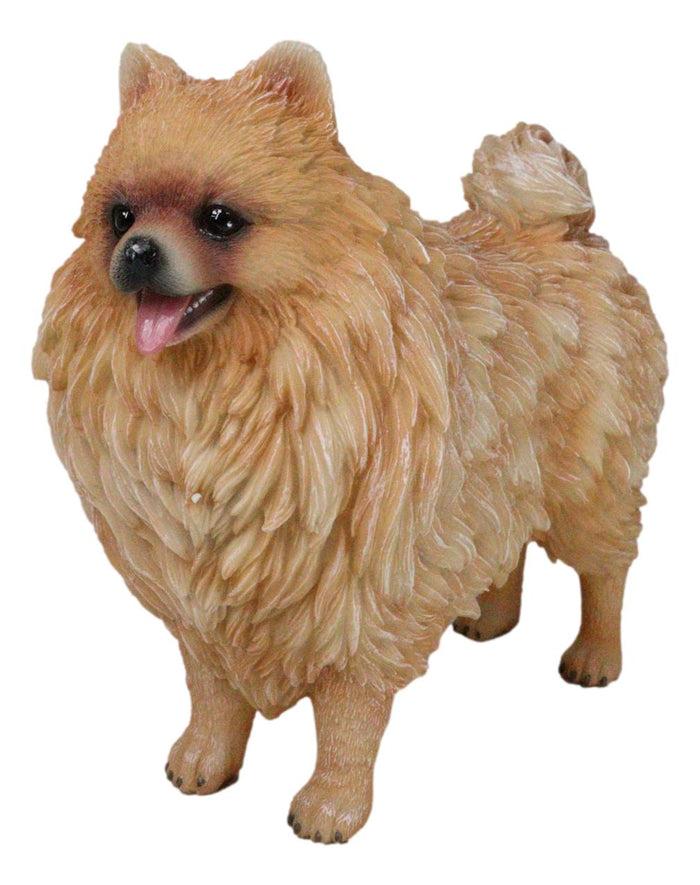 Lifelike Adorable Pet Pal Pomeranian Puppy Dog Standing Figurine Lifelike Adorable Pet Pal Pomeranian Puppy Dog Standing Figurine