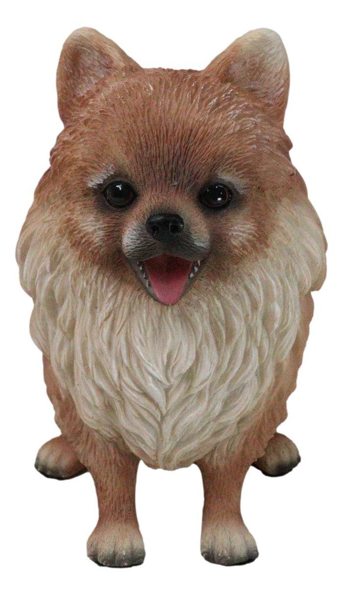 Lifelike Adorable Pet Pal Sitting Pomeranian Spitz Puppy Dog Figurine 6"H Lifelike Adorable Pet Pal Sitting Pomeranian Spitz Puppy Dog Figurine 6"H