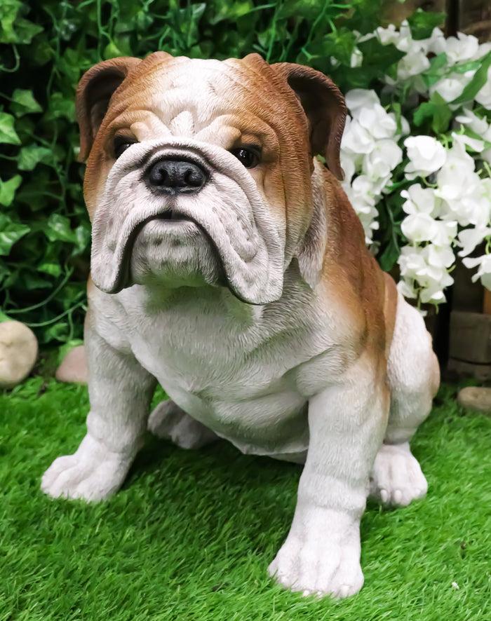 Lifelike Realistic English Bulldog Statue 14.5"Tall Fine Pedigree Dog Breed Lifelike Realistic English Bulldog Statue 14.5"Tall Fine Pedigree Dog Breed