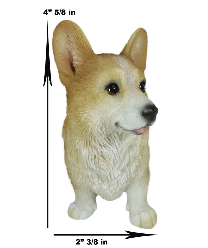 Lifelike Realistic Pembroke Welsh Corgi Puppy Dog Figurine With Glass Eyes 4.5"H