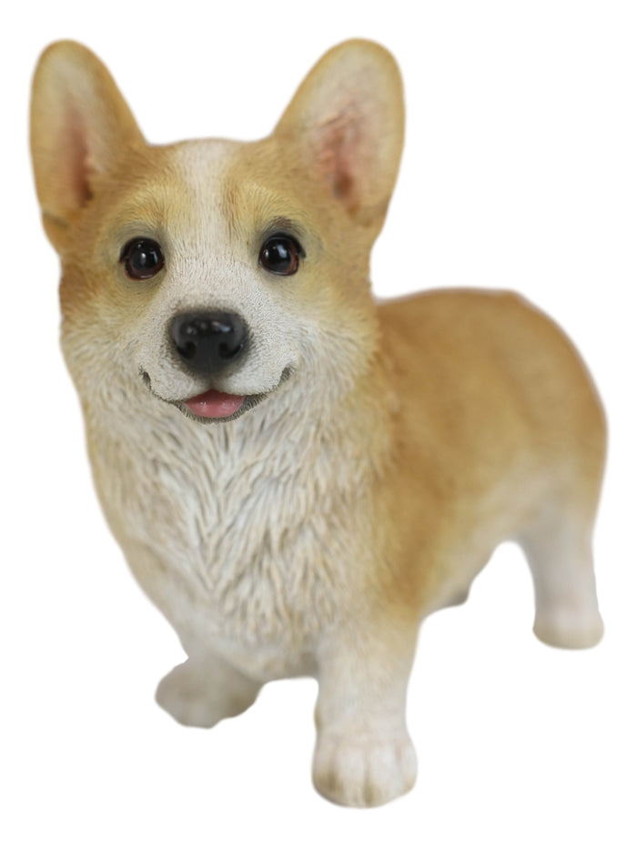 Lifelike Realistic Pembroke Welsh Corgi Puppy Dog Figurine With Glass Eyes 4.5"H