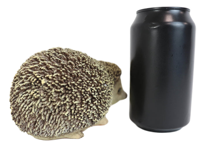 Lifelike Realistic Spinal Mammal Animal Baby Hedgehog Collectible Figurine 6"L