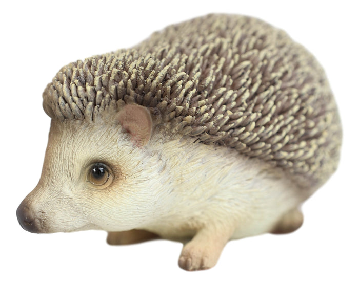 Lifelike Realistic Spinal Mammal Animal Baby Hedgehog Collectible Figurine 6"L