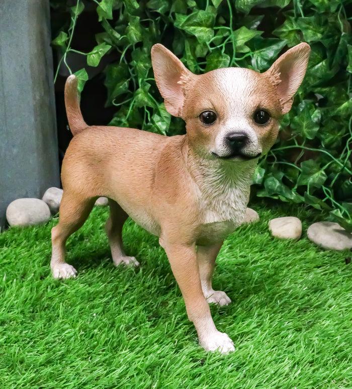 Lifelike Shorthair Deer Head Chihuahua Dog Statue 9.5"Long With Glass Eyes Lifelike Shorthair Deer Head Chihuahua Dog Statue 9.5"Long With Glass Eyes