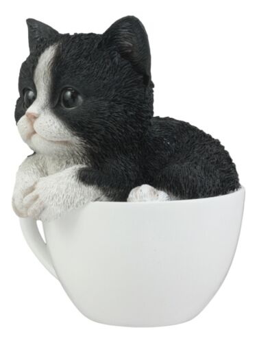 Lifelike Tuxedo Black And White Cat In Teacup Pet Pal Statue With Glass Eyes