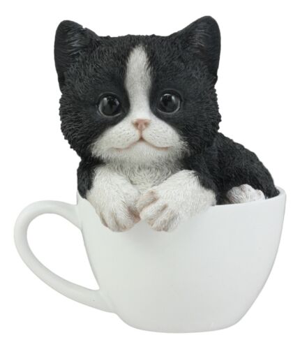 Lifelike Tuxedo Black And White Cat In Teacup Pet Pal Statue With Glass Eyes