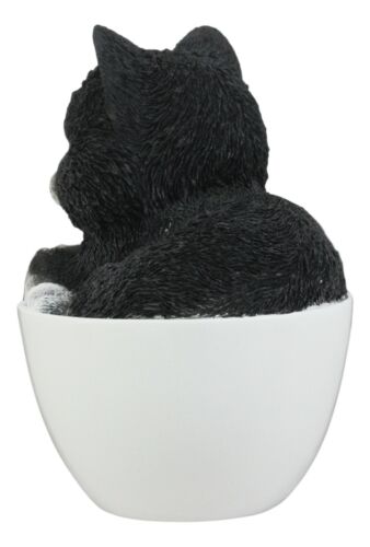 Lifelike Tuxedo Black And White Cat In Teacup Pet Pal Statue With Glass Eyes