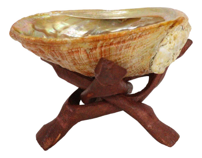 Marine Natural Abalone Shell On Accent Wood Tripod Stand Jewelry Incense Holder