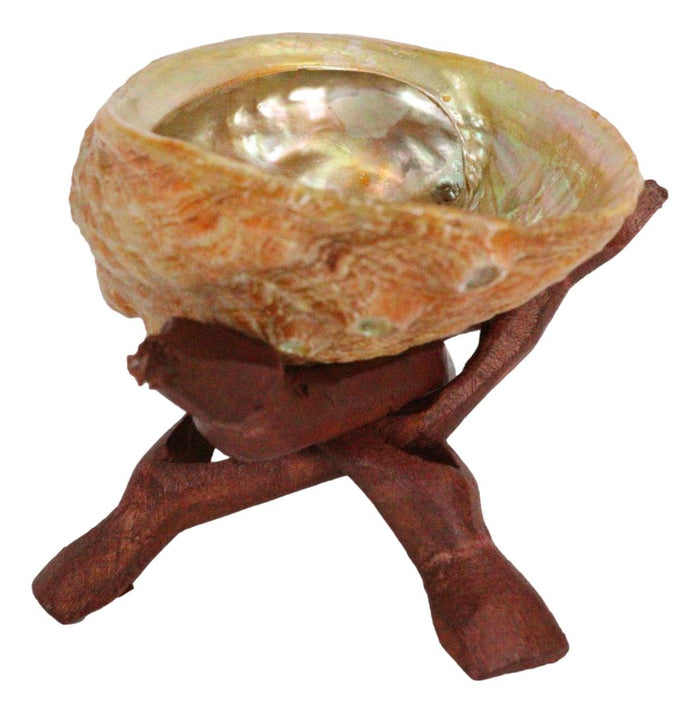 Marine Natural Abalone Shell On Accent Wood Tripod Stand Jewelry Incense Holder