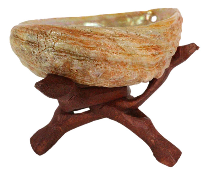 Marine Natural Abalone Shell On Accent Wood Tripod Stand Jewelry Incense Holder