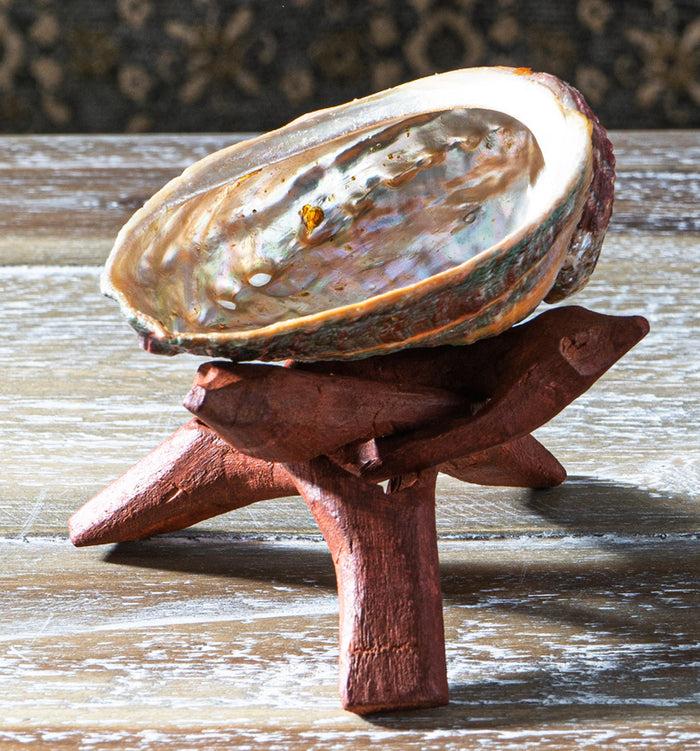 Marine Natural Abalone Shell On Accent Wood Tripod Stand Jewelry Incense Holder