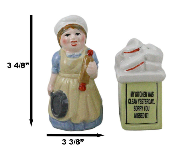 Mother With Dishes Chores 'My Kitchen Was Clean Yesterday' Salt Pepper Shakers