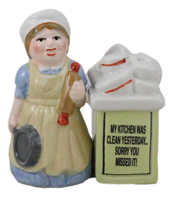 Mother With Dishes Chores 'My Kitchen Was Clean Yesterday' Salt Pepper Shakers