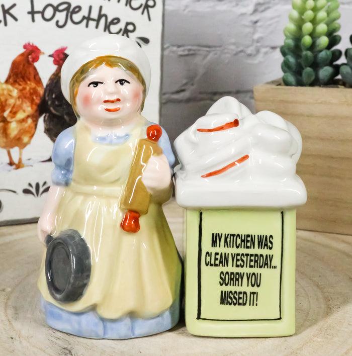 Mother With Dishes Chores 'My Kitchen Was Clean Yesterday' Salt Pepper Shakers