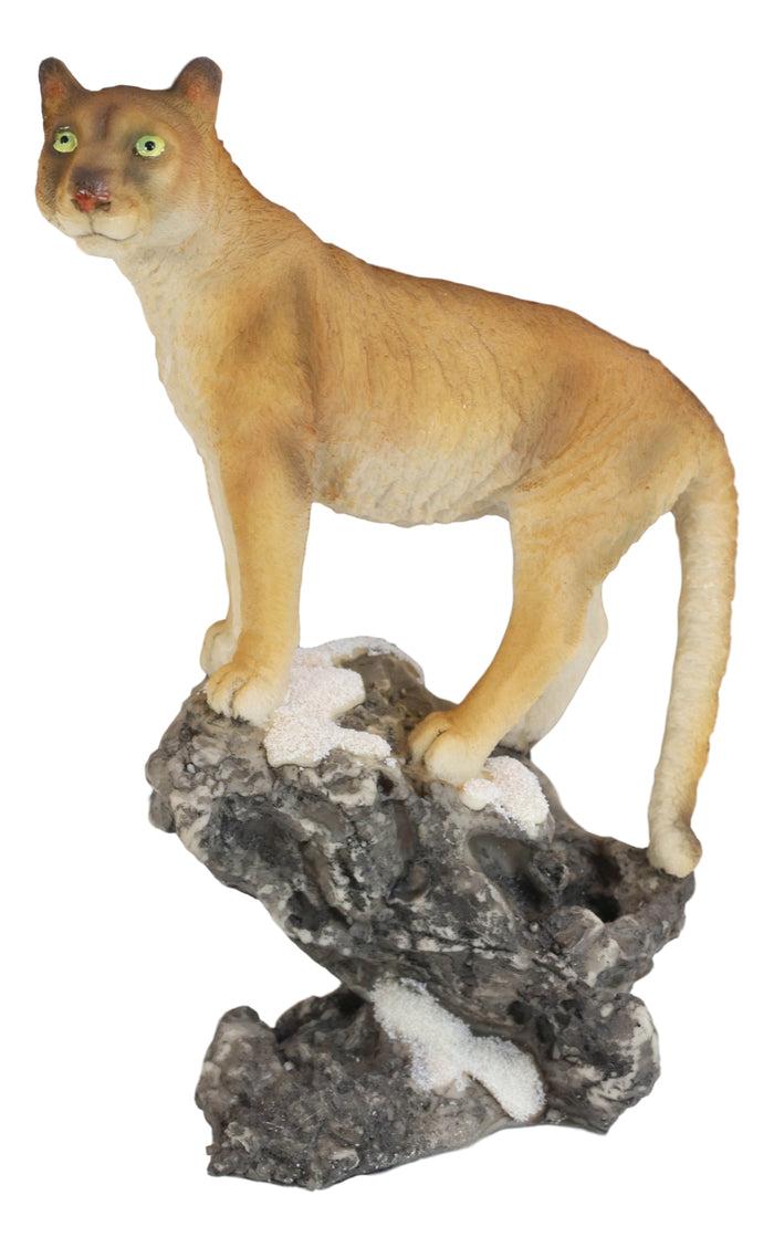 Mountain Lion Cougar Standing On Edge Of Snow Capped Rock Statue Wildlife Decor