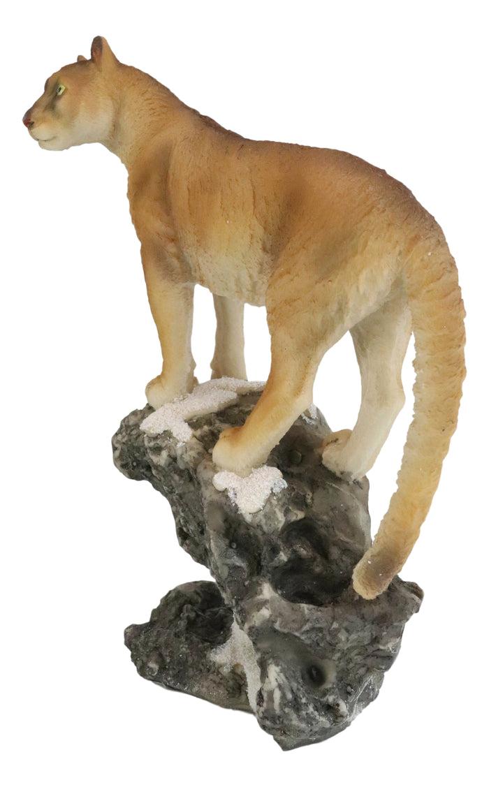 Mountain Lion Cougar Standing On Edge Of Snow Capped Rock Statue Wildlife Decor