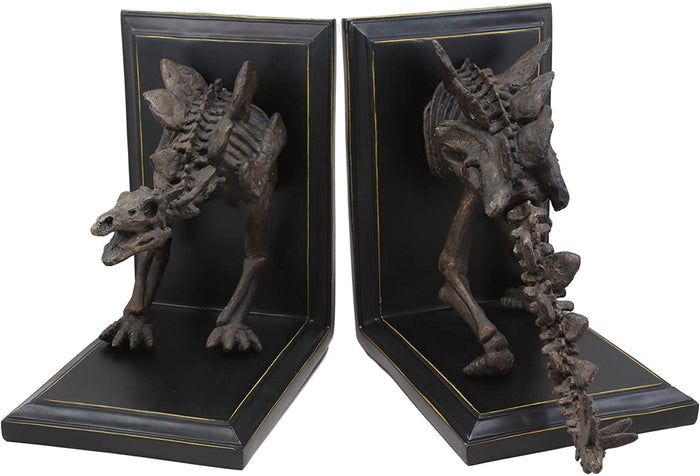 Museum Gallery Quality Prehistoric Stegosaurus Dinosaur Fossil Skeleton Bookends