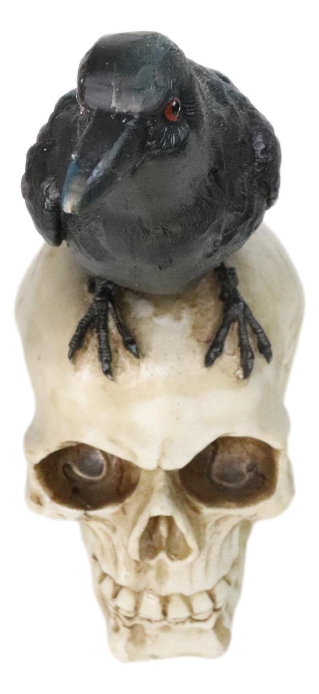 Myth And Legends Black Odin Raven Crow Perching On Skull Decorative Figurine