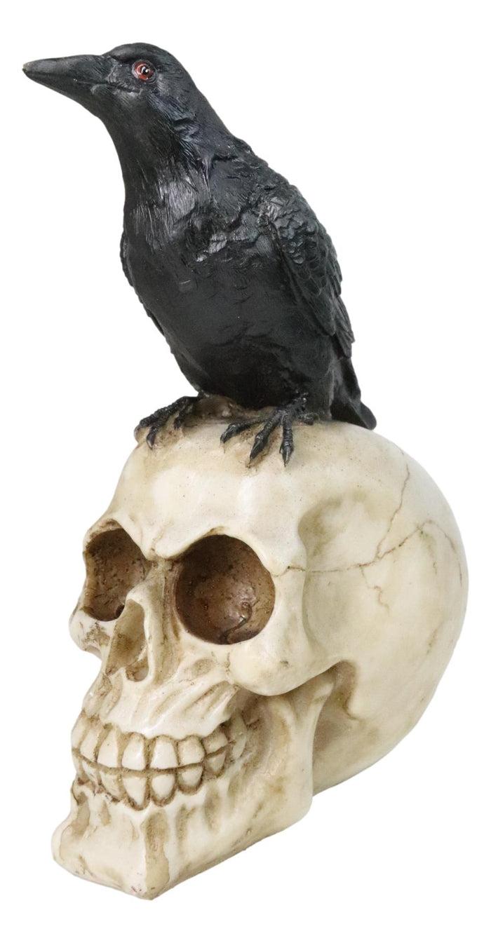 Myth And Legends Black Odin Raven Crow Perching On Skull Decorative Figurine