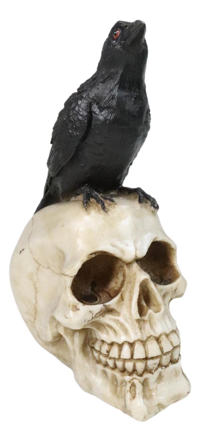 Myth and Legends Black Odin Raven Crow Perching On Skull Decorative Figurine Myth and Legends Black Odin Raven Crow Perching On Skull Decorative Figurine