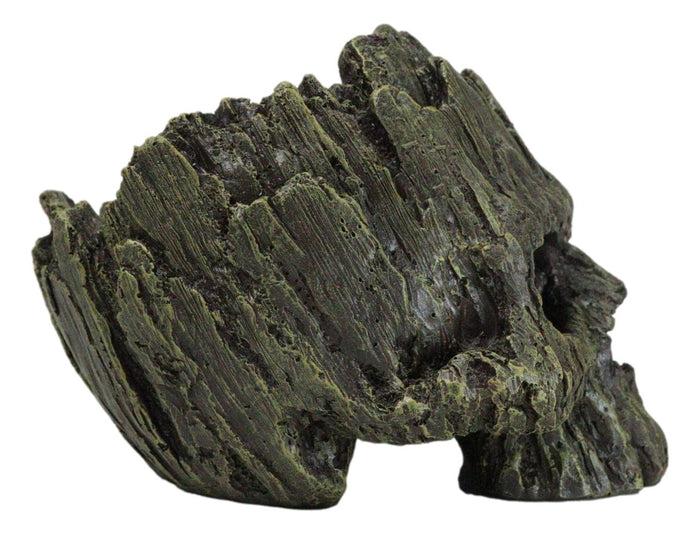 Mythical Greenman Tree Ent Skull Resin Bowl Garden Planter Figurine 7"Long