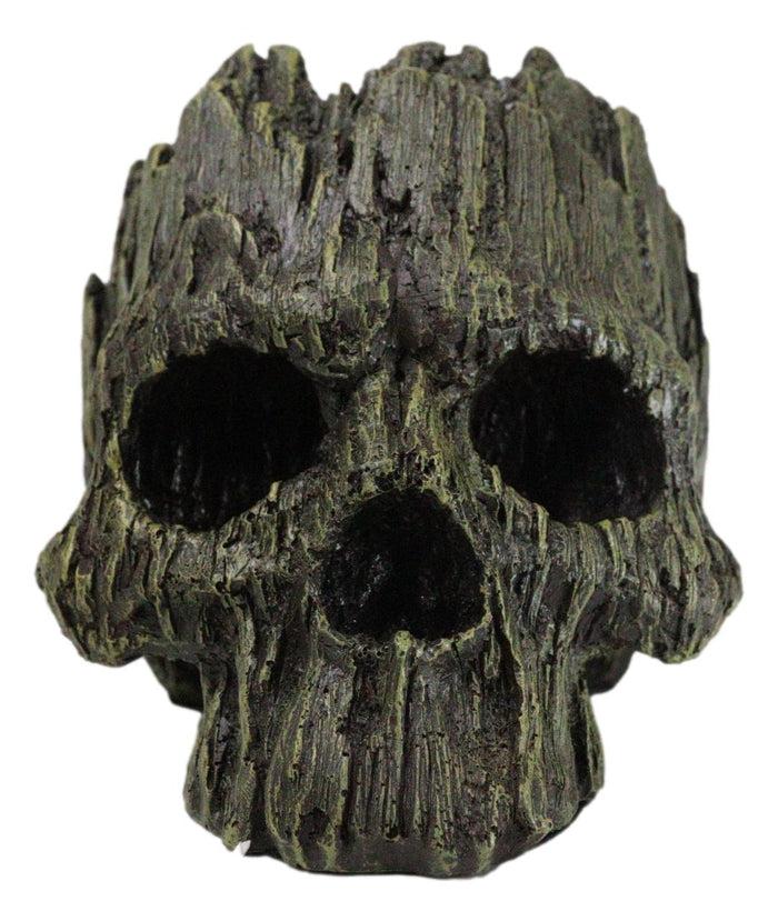 Mythical Greenman Tree Ent Skull Resin Bowl Garden Planter Figurine 7"Long Mythical Greenman Tree Ent Skull Resin Bowl Garden Planter Figurine 7"Long