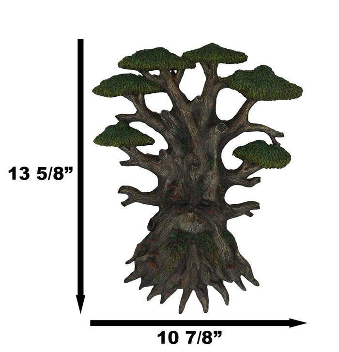 Nature Spirit God Celtic Greenman Tree Ent Canopy Hanging Wall Decor Plaque