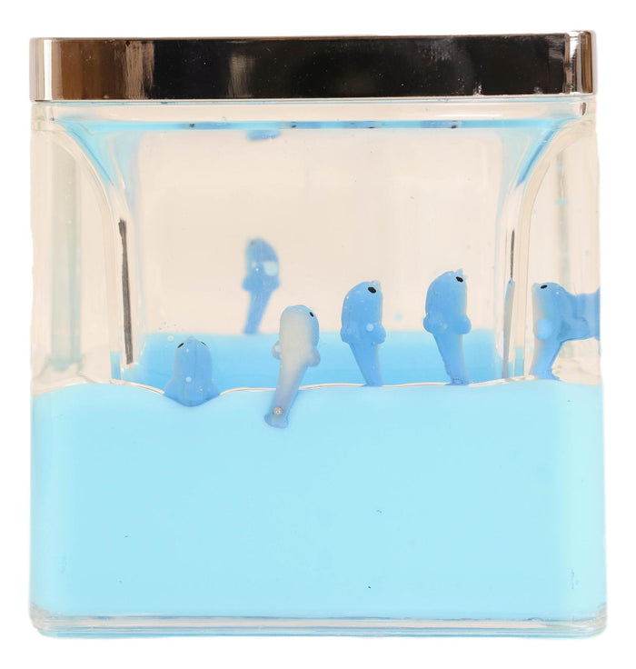Nautical Marine Blue Dolphins 5 Piece Chic Bathroom Vanity Accessories Gift Set