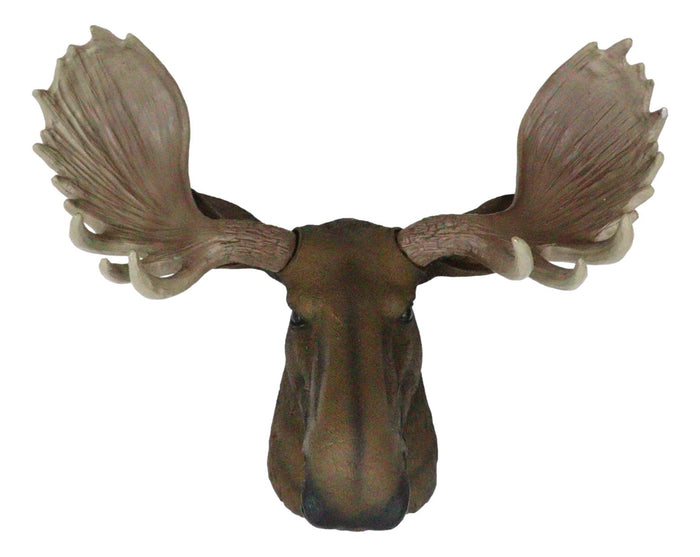 North American Granddaddy Bull Moose With Antlers Trophy Head Wall Decor 15"L