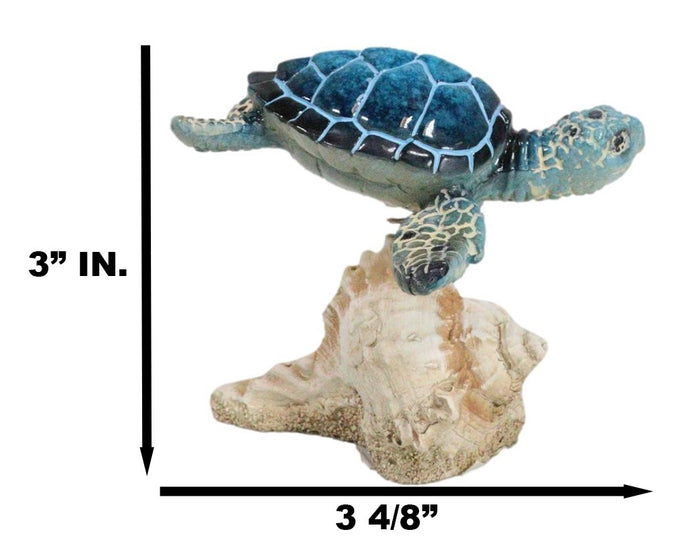 Ocean Marine Blue Sea Turtle Swimming Over Conch Shell Spring Bobble Figurine