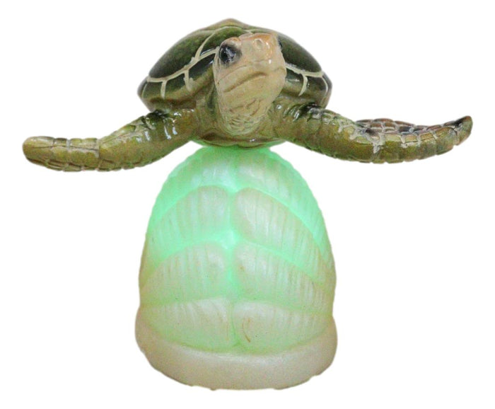 Ocean Marine Green Giant Sea Turtle Swimming Over LED Light Clam Shell Figurine