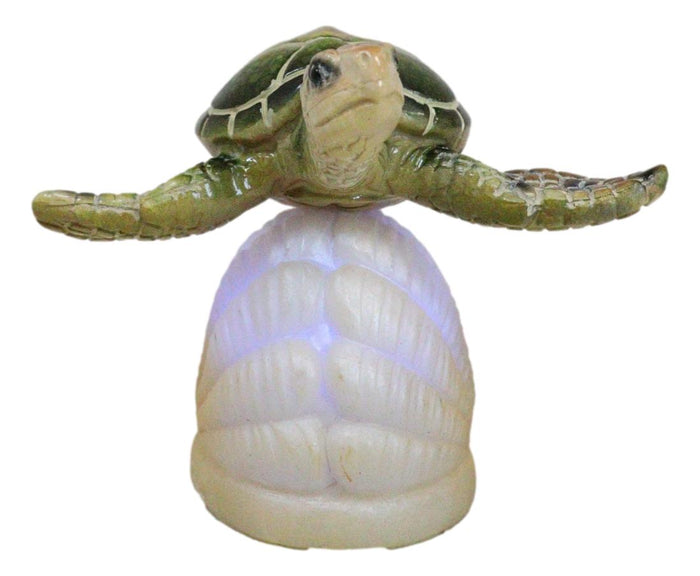 Ocean Marine Green Giant Sea Turtle Swimming Over LED Light Clam Shell Figurine