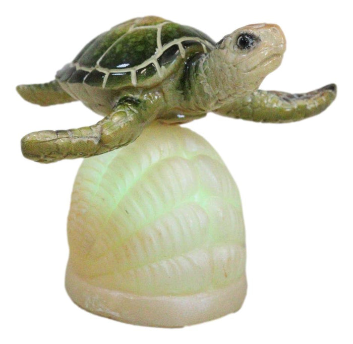 Ocean Marine Green Giant Sea Turtle Swimming Over LED Light Clam Shell Figurine