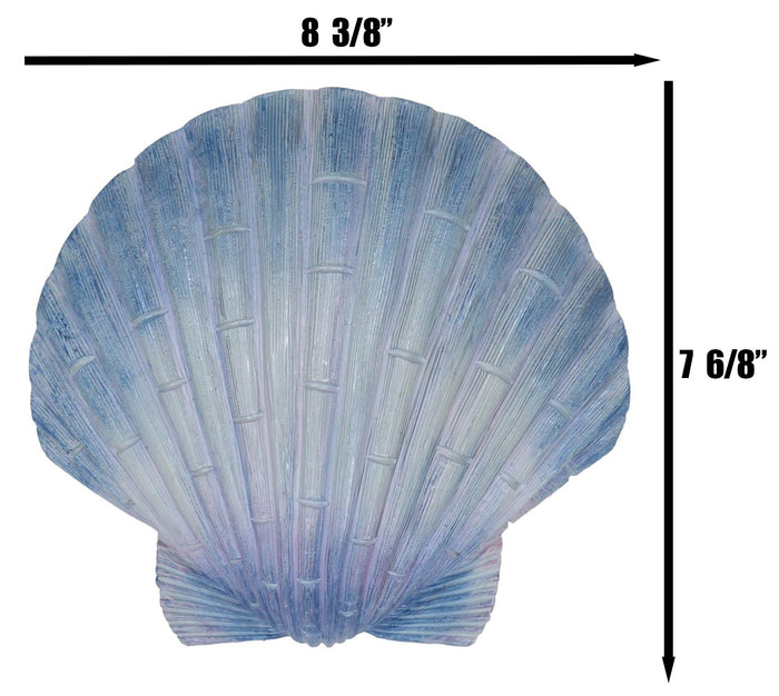 Ocean Nautical Marine Beach Aqua Blue Scallop Sea Shell Wall Plaque Decor 8.25"L