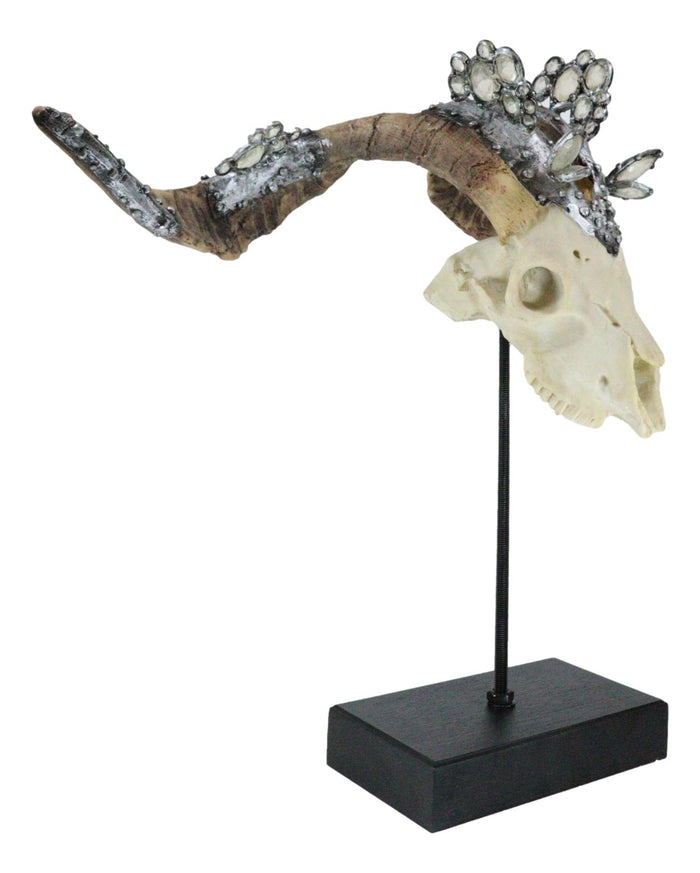 Ornate Crystal Gems Valais Blackneck Billy Goat Skull Desktop Or Wall Plaque