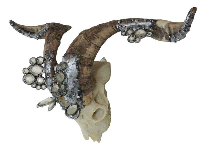 Ornate Crystal Gems Valais Blackneck Billy Goat Skull Desktop Or Wall Plaque