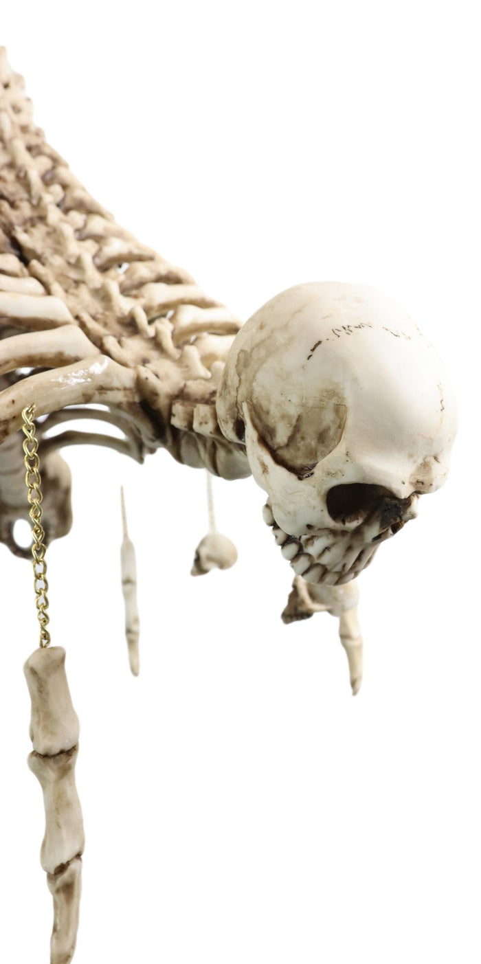 Ossuary Skulls Bones And Spines Pentagonal Ceiling Chandelier Light Lamp 20"H