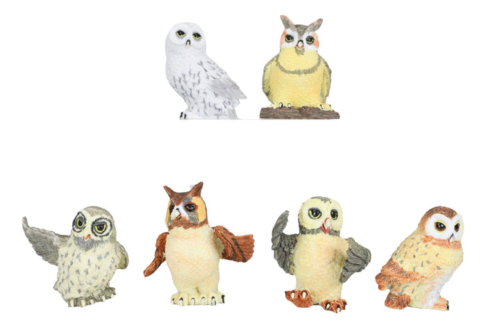 Owls Of The World Colorful Nocturnal Birds In Multiple Poses Mini Figurine Set