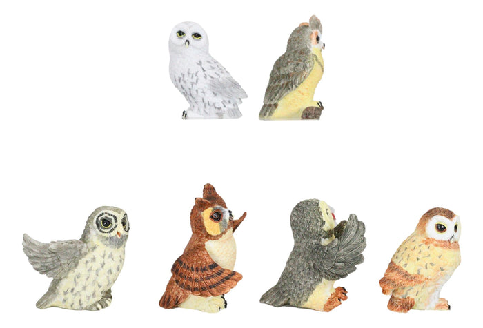 Owls Of The World Colorful Nocturnal Birds In Multiple Poses Mini Figurine Set