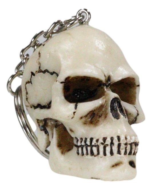 Pack Of 12 Novelty Bone Colored Jointed Homosapien Cranium Skulls Keychains
