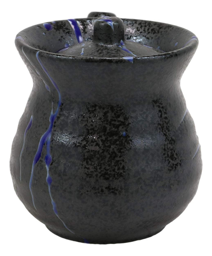 Pack Of 2 Speckled Black Blue Japanese Tenmoku Porcelain Soy Sauce Dispensers