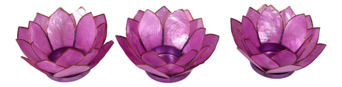 Pack Of 3 Coral Pink Seashells Lotus Flower Votive Tea Light Candle Holders