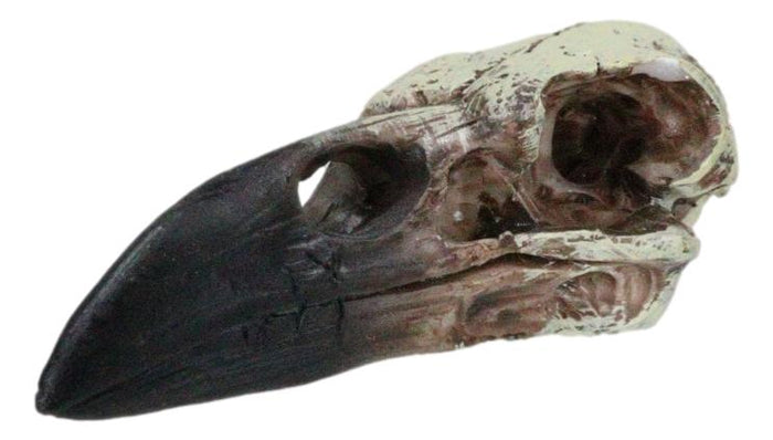 Pack Of 3 Gothic Reliquary Raven Crow Skull Small Pendant Talisman Figurines