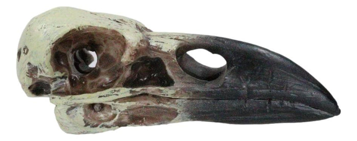 Pack Of 3 Gothic Reliquary Raven Crow Skull Small Pendant Talisman Figurines
