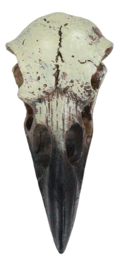 Pack Of 3 Gothic Reliquary Raven Crow Skull Small Pendant Talisman Figurines