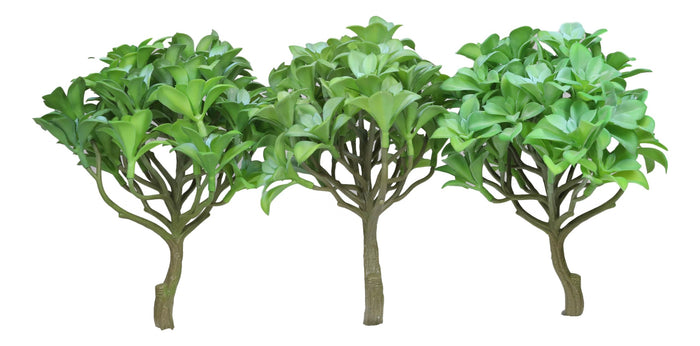 Pack Of 6 Lifelike Artificial Kiwi Desert Plant Succulents Stem Botanica 8"H