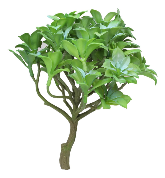 Pack Of 6 Lifelike Artificial Kiwi Desert Plant Succulents Stem Botanica 8"H