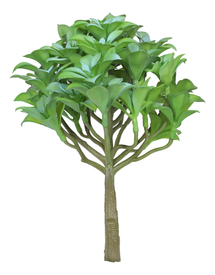 Pack Of 6 Lifelike Artificial Kiwi Desert Plant Succulents Stem Botanica 8"H