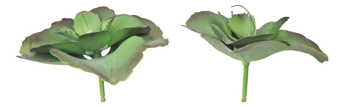 Pack Of 6 Realistic Lifelike Artificial Lilacina Paddle Desert Plant Succulents